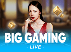 big gaming logo